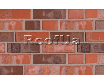 Hagemaister dortmund gt 